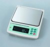 External Calibration Precision Industrial Balance - GF-K Series