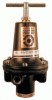 Coilhose Pneumatics General Purpose Regulator