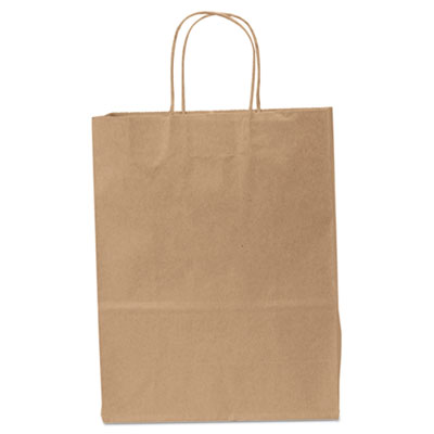 Duro Bag Traveler Paper Shopping Bags