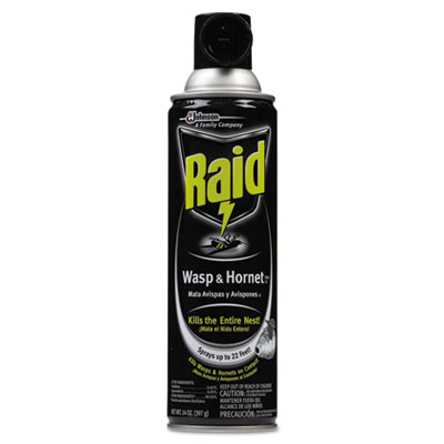 Raid&reg; Wasp & Hornet Killer