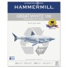 Hammermill&reg; Great White&reg; 100 Recycled Copy Paper