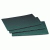 Scotch-Brite PROFESSIONAL Commercial Scouring Pad 96