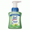 LYSOL&reg; Brand Touch of Foam&#153; Antibacterial Hand Wash