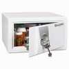 Sentry&reg; Safe Med Series Safe