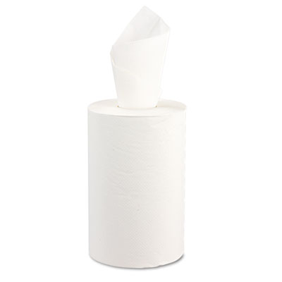 Windsoft&reg; Nonperforated Roll Towels