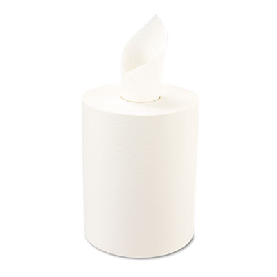 Windsoft&reg; Nonperforated Roll Towels