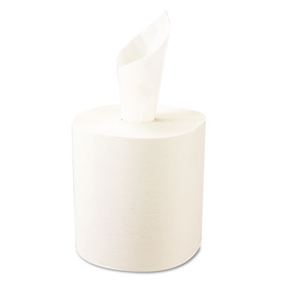 Windsoft&reg; Nonperforated Roll Towels