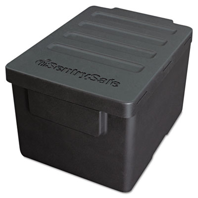 Sentry&reg; Safe FileGuard