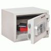 FireKing&reg; One Hour Fire and Water Safe