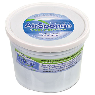 Nature's Air Odor-Absorbing Replacement Sponge