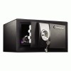 Sentry&reg; Safe Security Safe