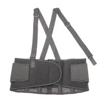 Ergodyne ProFlex&reg; 100 Economy Back Supports