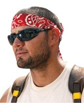 Ergodyne Chill-Its&reg; 6700 Evaporative Cooling Bandanas