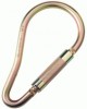 DBI/Sala Saflok&reg; Carabiners