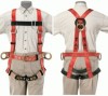 Klein Tools Full-Body Fall-Arrest/Positioning Harness