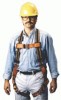 Miller&reg; by Honeywell DuraFlex&reg; Stretchable Harnesses