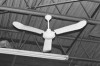 TPI Corp. Industrial Ceiling Fans