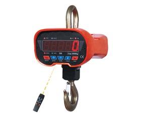 GENERAL DUTY CRANE SCALES
