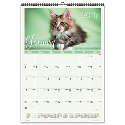AT-A-GLANCE&reg; Kittens Wall Calendar