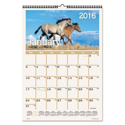 AT-A-GLANCE&reg; Horses Monthly Wall Calendar