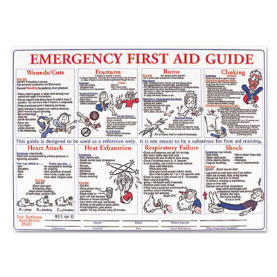 LabelMaster&reg; Emergency First Aid Guide Poster