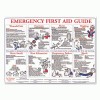 LabelMaster&reg; Emergency First Aid Guide Poster