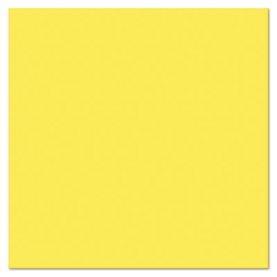 Pacon&reg; Plastic Poster Board