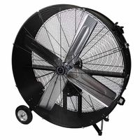 TPI Corp. Commercial Belt Drive Portable Blower