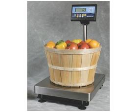 STAINLESS STEEL BENCH SCALES SERIES III