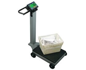 PORTABLE DIGITAL UTILITY SCALE