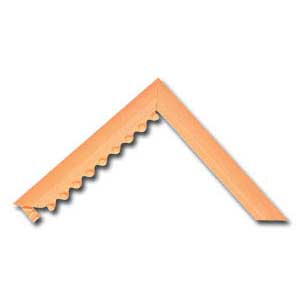 M.D. RAMP SYSTEM