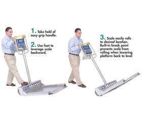 AEGIS&reg; TRANSPORT SCALE
