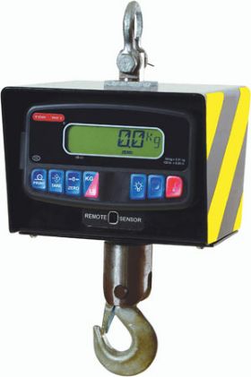 Affordable Digital Crane Scale