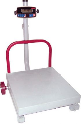 Receiving Scale