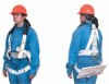 Lewis Manufacturing Co. Fall Arrest Harnesses