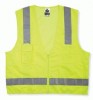 Ergodyne GloWear&reg; 8249Z Class 2 Economy Surveyors Vests