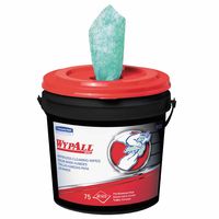 Kimberly-Clark Professional WypAll&reg; Waterless Hand Wipes