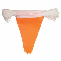National Banner Fluorescent Pennants