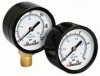 Weksler&reg; Dry Gauges with Steel Case
