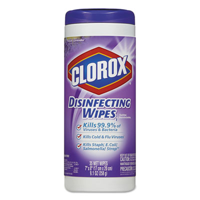Clorox&reg; Disinfecting Wipes