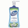 Dial&reg; Professional Antimicrobial Foaming Hand Soap