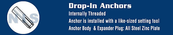 Drop In Anchor Zinc With Setting Tool