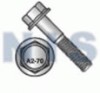 Stainless Steel Frame Bolts