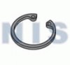 Internal Retaining Ring Phosphate