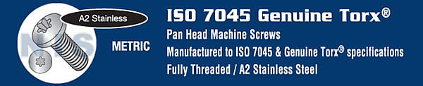 ISO 7045 Metric Torx(R) T 10 Pan Head Machine Screw 18 8 Stainless Steel