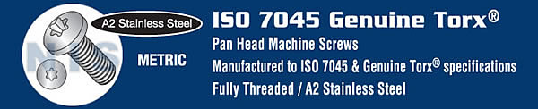 ISO 7045 Metric Torx(R) T 20 Pan Head Machine Screw 18 8 Stainless Steel