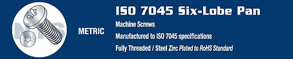 ISO 7045 Six Lobe T-10 Drive Pan Machine Screw Class 4.8 Full Thread Zinc RoHS