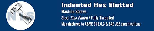 Slotted Indented Hex Head Machine Screw Fully Threaded Zinc