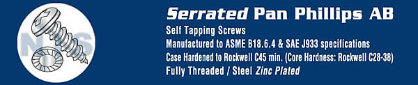 Phillips Pan Serrated Self Tapping Screw Type A B Fully Threaded Zinc and Bake
