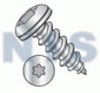 Torx(R) Pan Self Tapping Screw Type A B Fully Threaded Zinc And Bake